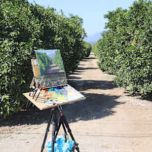 "Orchard Sunshine" by Dan Schultz, Image 2.