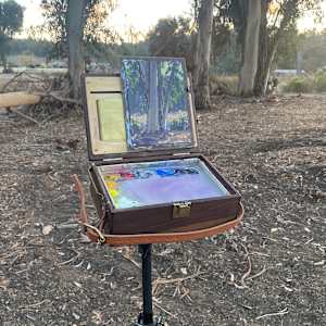 “Solitary Eucalyptus” by Dan Schultz 