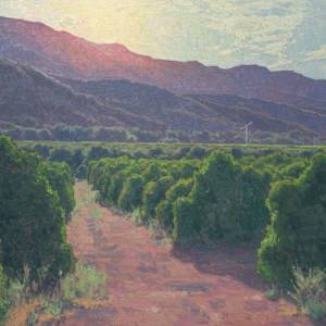 "Sunlit Orchards" by Dan Schultz, Image 1.