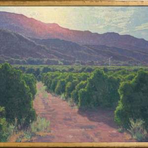 "Sunlit Orchards" by Dan Schultz, Image 2.