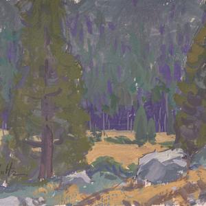 "Tuolumne Meadows" (Yosemite National Park) by Dan Schultz