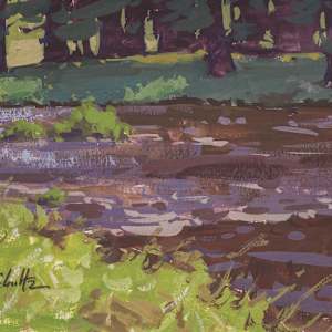 "Tuolumne River" (Yosemite National Park) by Dan Schultz