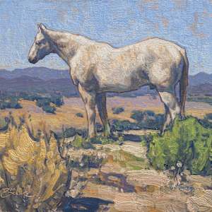 "Unbridled" by Dan Schultz