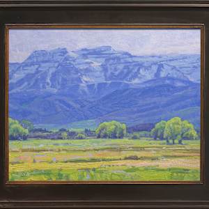 "Valley Spring" by Dan Schultz  Image: Frame dimensions: 21.5" x 25.5"