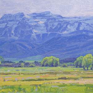 "Valley Spring" by Dan Schultz