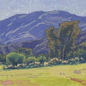 "Verdant Valley" by Dan Schultz