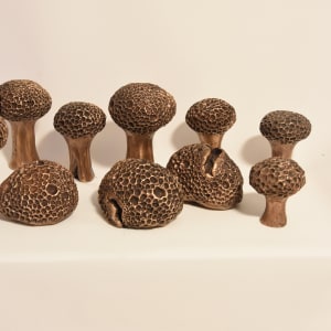Forest by Brian M. House  Image: Alternate view