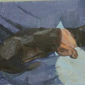 Cat in the Sun by Amy Scherer, Image 2.