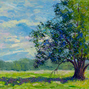 Hush by Jay Holobach, Image 1.