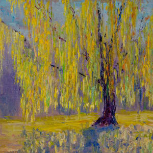 Willow Or Wont by Jay Holobach