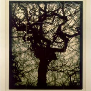 Structure of Thought #6 by Doug Starn, Mike Starn