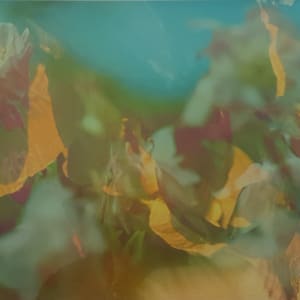 No Title by Peter Fischli and David Weiss