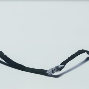 Same Boat 05 - Series Matches by Victor Haim