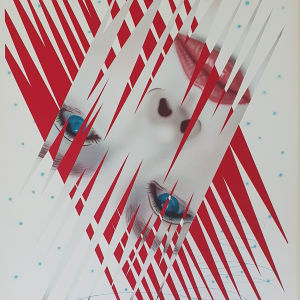 Ice Point by James Rosenquist