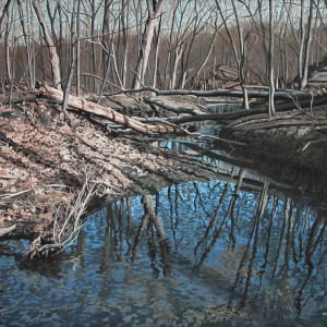 Fallen Trees by Fletcher Hayes
