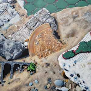 Some Semblance of Intelligence – Zion Beach by Fletcher Hayes