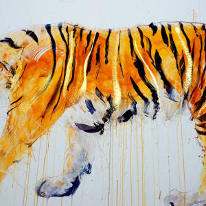 Tiger Walking by Dave White 