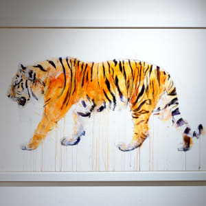 Tiger Walking by Dave White 