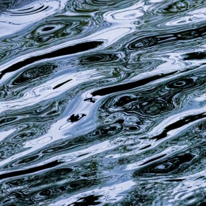 Nature's Art by Ellen Zimmerman