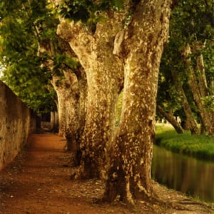 Along A Stream, Carcassonne by Hugh Martin