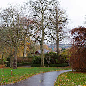 Botanic Gardens 4, Belfast by Hugh Martin