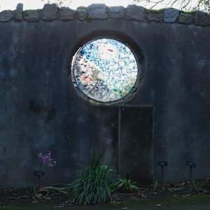 Botanic Gardens 13, Dublin by Hugh Martin, Image 1.
