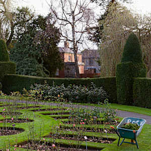 Rose Garden, Dublin by Hugh Martin
