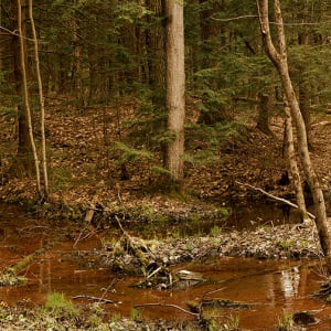 Spring Landscape, Silent Lake by Hugh Martin