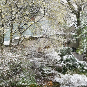Spring Snowfall #1, Hamilton by Hugh Martin