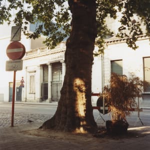 Tree Along Street, Ghent by Hugh Martin