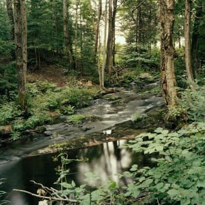 Summer Stream, Silent Lake by Hugh Martin