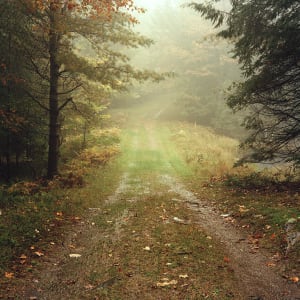 The Road Back, Silent Lake by Hugh Martin, Image 2.