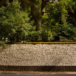 Tree Behind Stone Wall, Namur by Hugh Martin