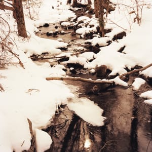 Winter Stream, Silent Lake by Hugh Martin