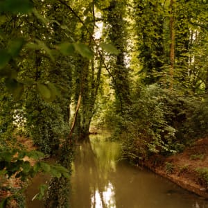 Creek, Maastricht by Hugh Martin