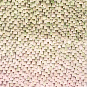 Fall into Place 3 by Karla Nixon 