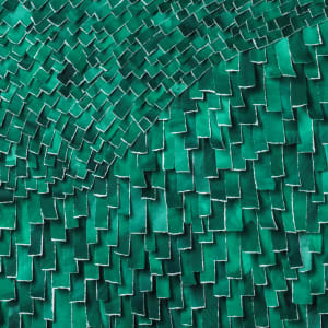 Grow by Karla Nixon  Image: Grow detail 1