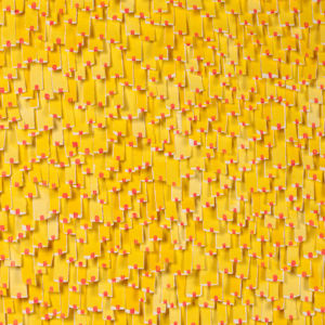 Markings 2 by Karla Nixon  Image: detail