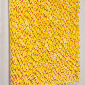 Markings 2 by Karla Nixon  Image: detail