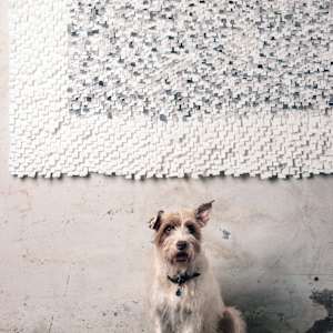 White Noise by Karla Nixon  Image: White Noise scale