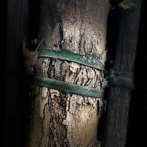 The Stakes We Leave Behind by Lois Keller