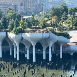 Hudson River Evolution 2023, A view from Pier 57 by Lois Keller 