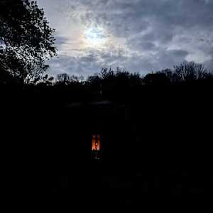 Night Owl by Lois Keller 