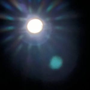 Sun by Lois Keller 