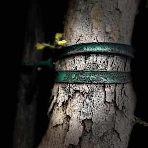 The Stakes We leave Behind on the Streets of Los Angeles by Lois Keller