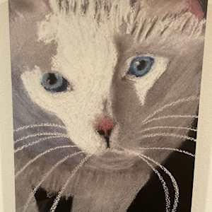 Tali, Up Close & Personal by Marlene D. Cohen