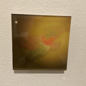 Winkip by Carol Davidson