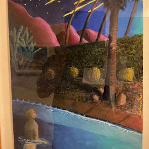 Meteor Shower in Palm Springs by Daniel Samakow