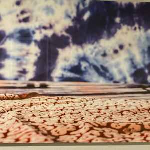 Impossible Dreamer by Gary Borgstedt