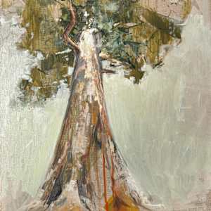 sequioa study 1 by Kristin  Cronic